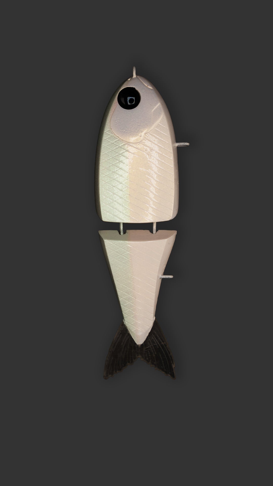 Kadava 100