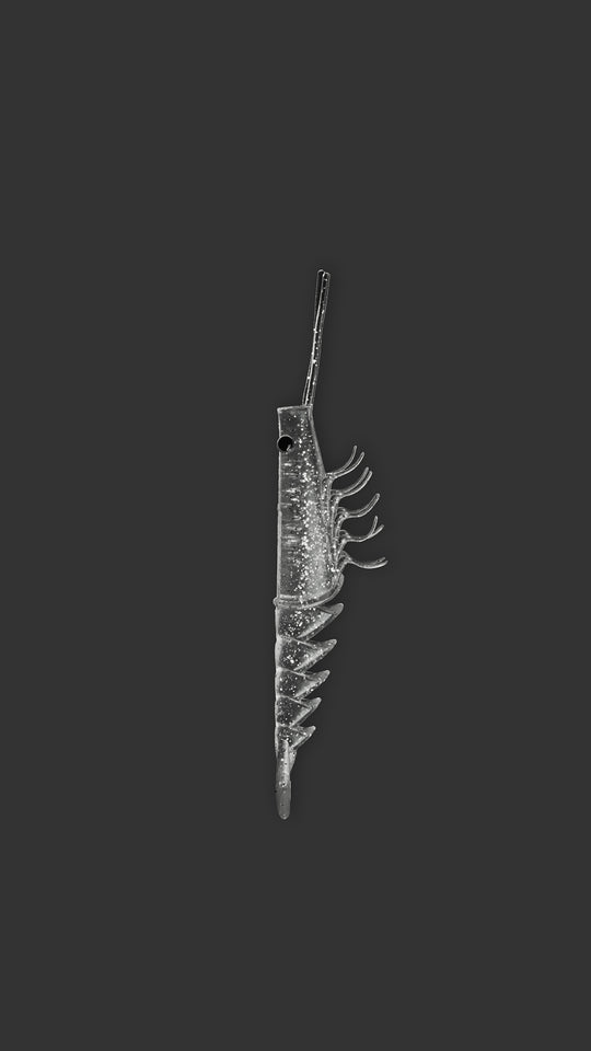 3" Skip Prawn Gin [6 Pack]